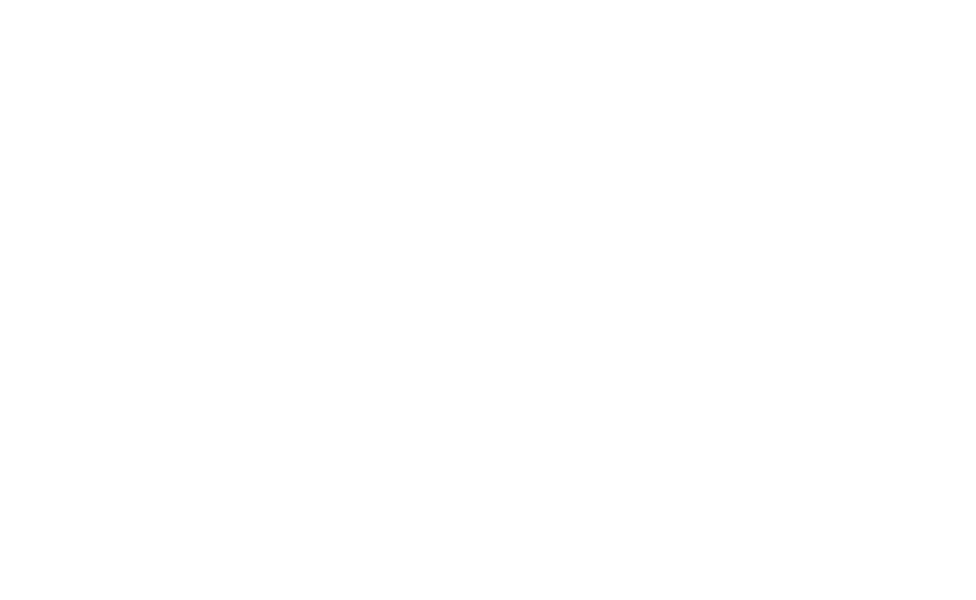 Active Icon
